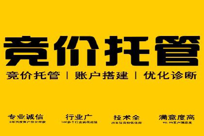 成功SEM推广代运营案例展示